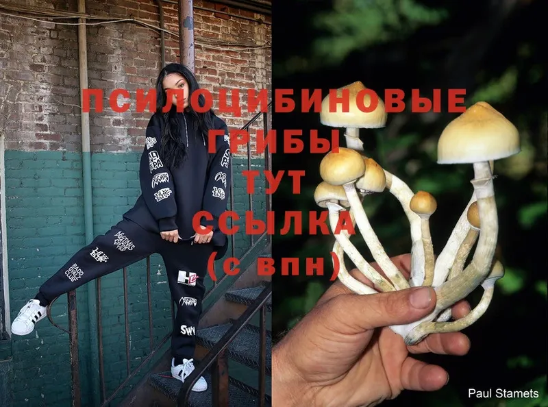 гидра ссылка  Орск  Псилоцибиновые грибы MAGIC MUSHROOMS 